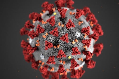 75% aumento casos de Coronavirus