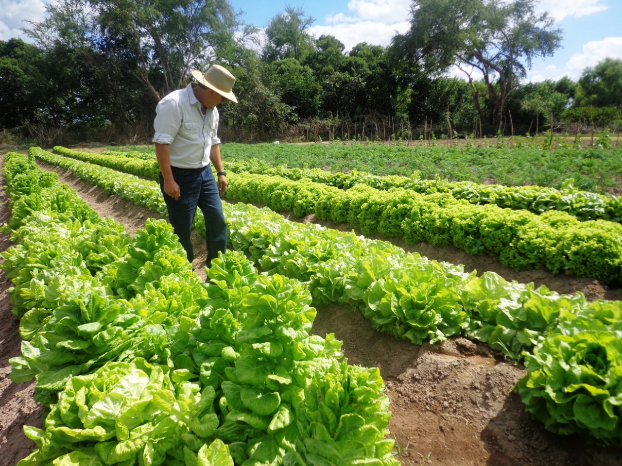 Agrocrédito para beneficiar hondureños en préstamos