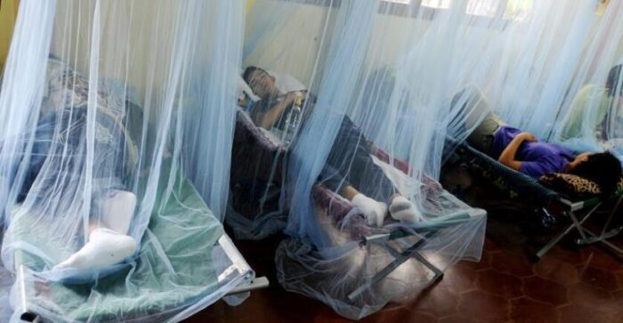 Cuatro menores y dos adultos han fallecido en las últimas horas por dengue grave