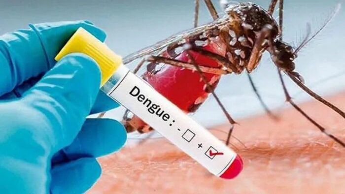 Nueve departamentos en alerta por dengue