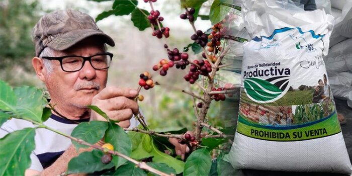 El olor a café en los hogares hondureños es una tradición y uno de los rubros que sostienen la economía nacional