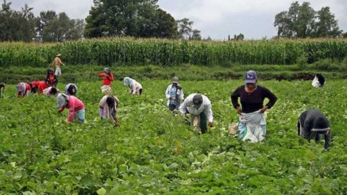 EEUU anuncia que extiende por un año y medio los permisos de trabajo a inmigrantes hondureños