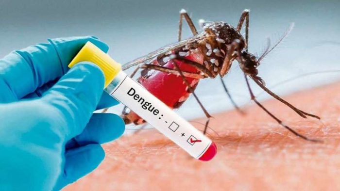Honduras podría declarar epidemia de dengue ante el aumento de casos