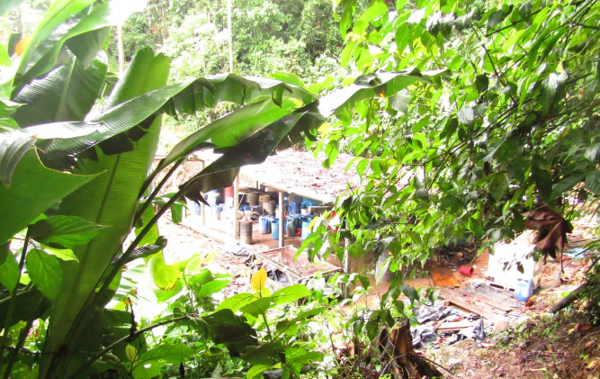 Desmantelan tres narcolaboratorios en Olancho