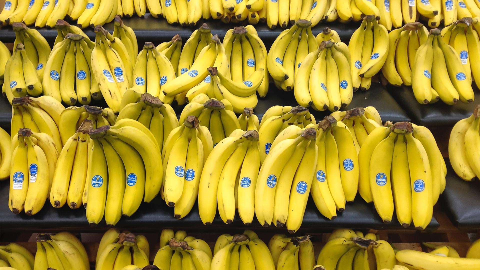 Exportación de banano dejó $239 millones en divisas a Honduras