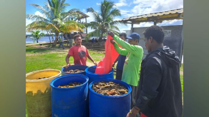 FNH decomisa más de 6 mil libras de pepino de mar a embarcaciones nicaragüenses