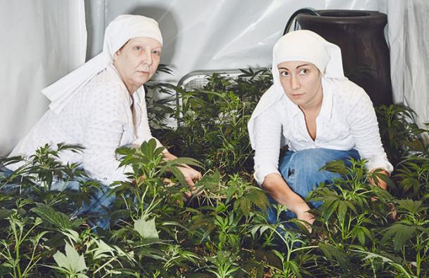 Estas monjas cultivan y venden plantas de marihuana por Internet por una buena razón